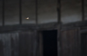 _7146499.jpg