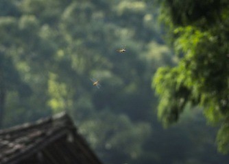 _7146689.jpg