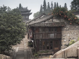 _7167887.jpg