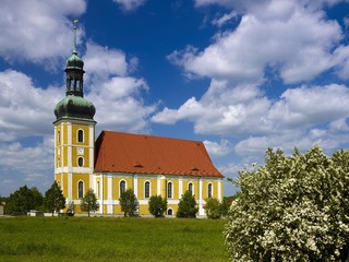 _7168047.jpg