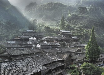 P7146460.jpg