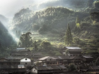 P7146469.jpg