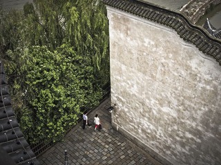_7168207.jpg