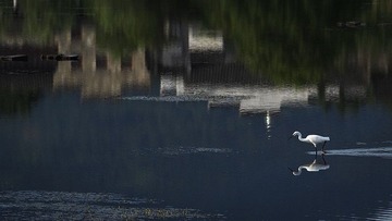 _7085193.jpg