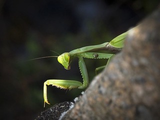 _9162643.jpg
