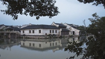 _9151937.jpg