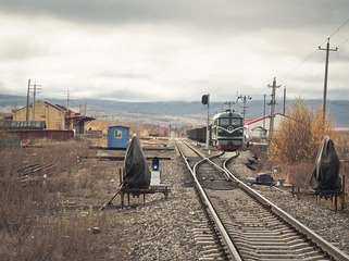 _9233235 (2).jpg