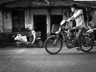 _A014268.jpg