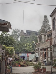_A054951.jpg
