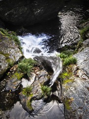 _A205619.jpg