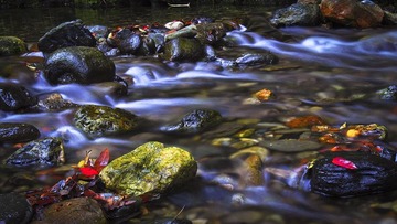 PA205708.jpg