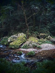 PA215790.jpg