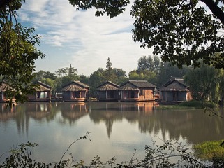 _9151992.jpg