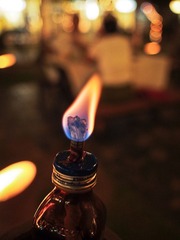 _B289958.jpg