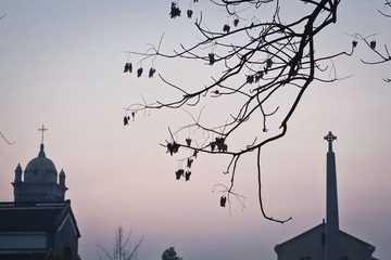 _S451106.jpg