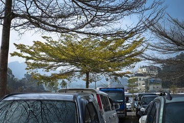 _DSF1111.jpg