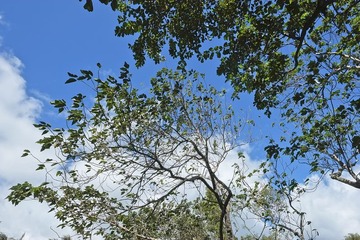 _DSF3143.jpg