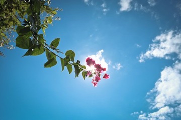 _DSF3167.jpg