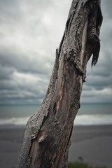 _S093078.jpg