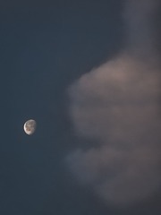 _3025615.jpg