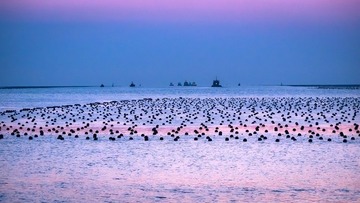 _3030709.jpg