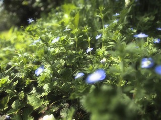 P3080831.jpg
