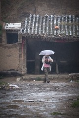 _S563165.jpg