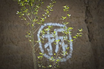 _S674242.jpg