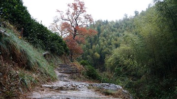 DSC02412