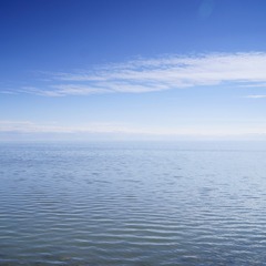 5576