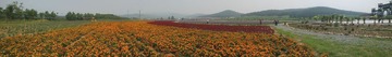 PANO_20140726_105908