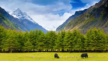 四姑娘山-1