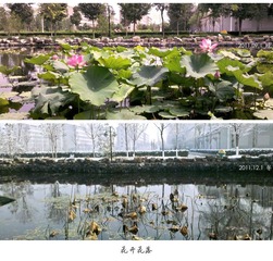 纪念.jpg