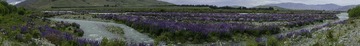 PTK55773-Pano