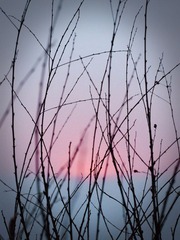 泰山日出