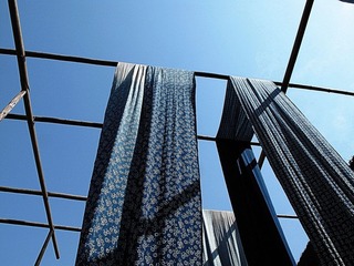 IMG_4349.jpg