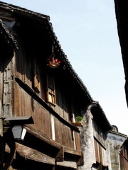 IMG_4335.jpg