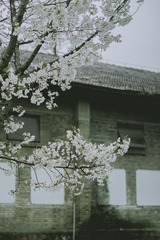31C51AB5-6E00-442F-8FF8-B6933E449FF2/L0/001