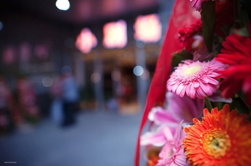 DSC_9846.jpg