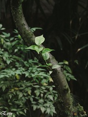 P5020089