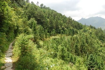去淳安的山路