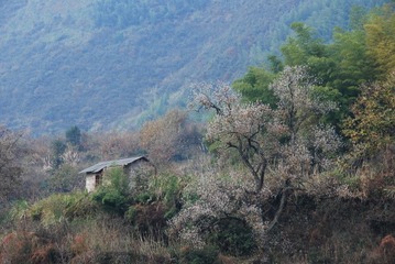 塔川~~