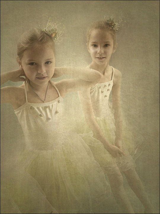 她有一个好听的中文名--蝴蝶