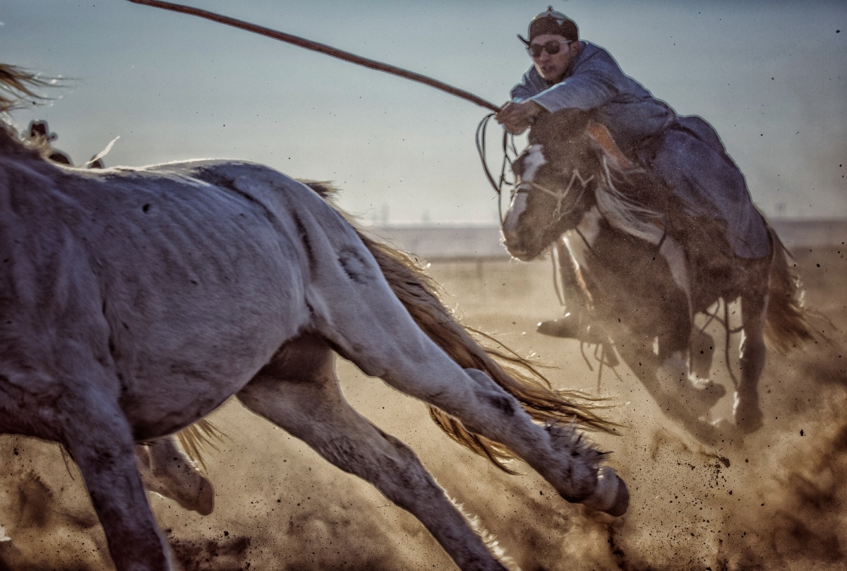 套马的汉子威武雄壮锡林浩特