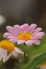 IMG_3789.JPG
