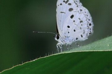 IMG_4128.JPG