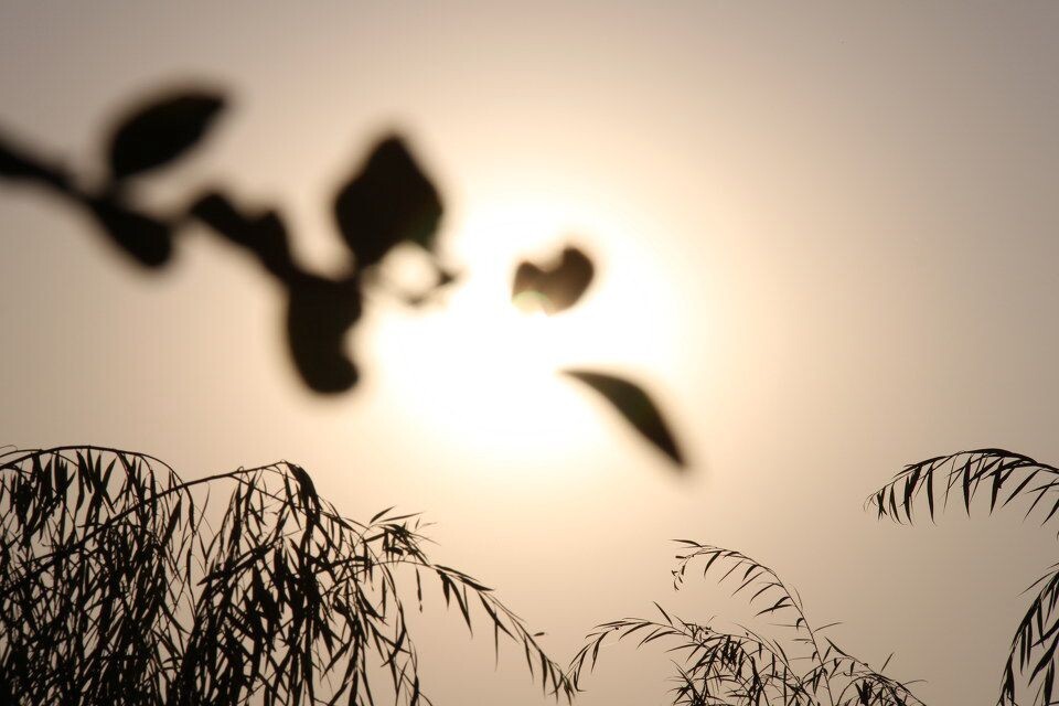 夕阳<br />
