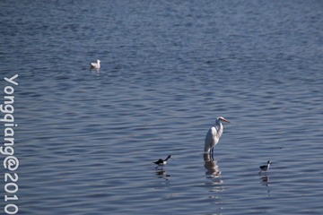 USATrip_20100912_01_89.jpg