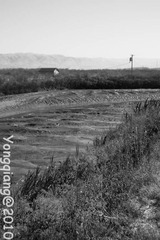 USATrip_20100912_01_47.jpg