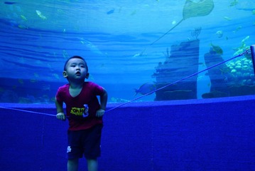 2D6DBDBC-25C7-4468-B478-E50D87A2B1CF/L0/001